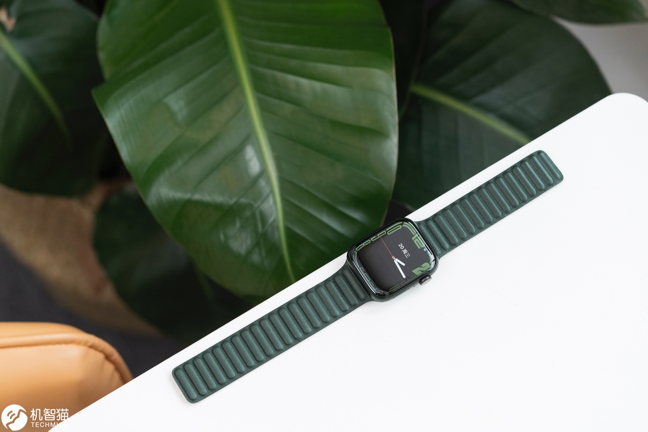 绿色的吉他<br><br>中度可信度描述已自动生成