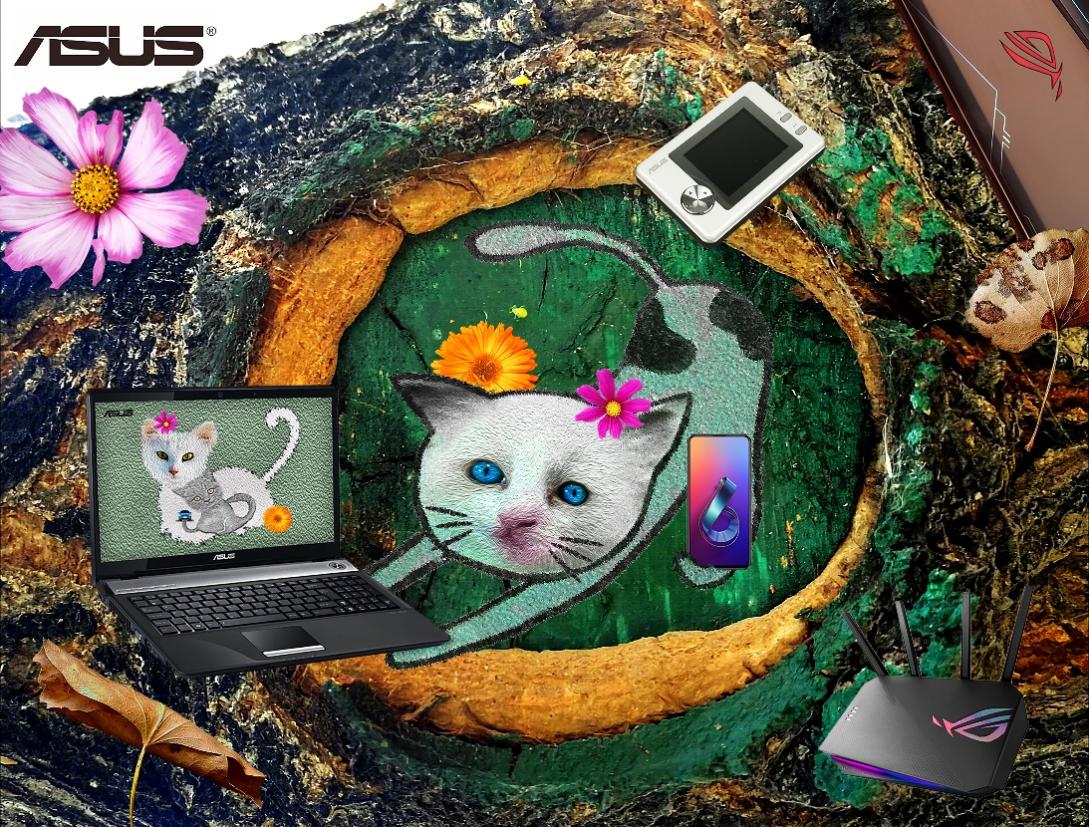 电脑游戏的截图

低可信度描述已自动生成