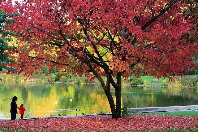 这是9月最好的摄影作品！