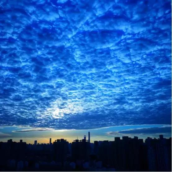 11月，拍客们来赢大奖吧！