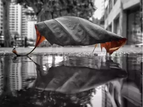 11月，拍客们来赢大奖吧！