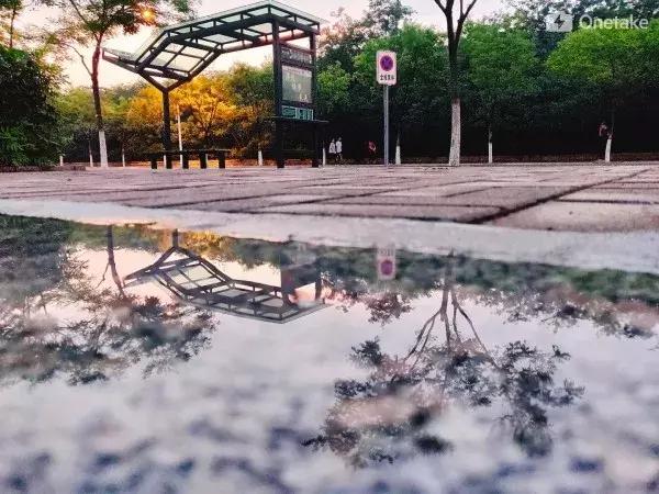 快来领奖，11月拍客大赛获奖名单公布