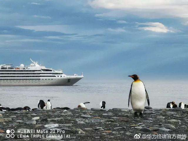 让华为超过了iPhone的神秘“胶水”是什么黑科技？