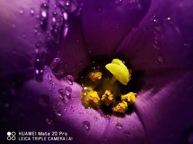 真香！华为昨晚带来了一大波Mate 20