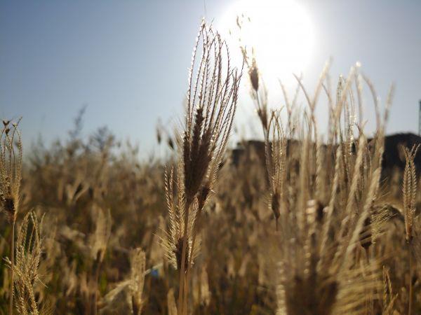 会生活的人，都在做这件事