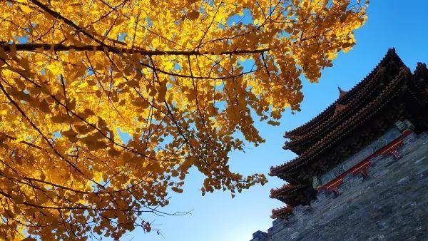 会生活的人，都在做这件事