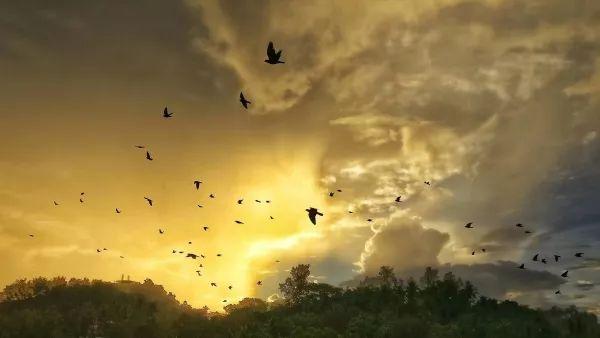 会生活的人，都在做这件事