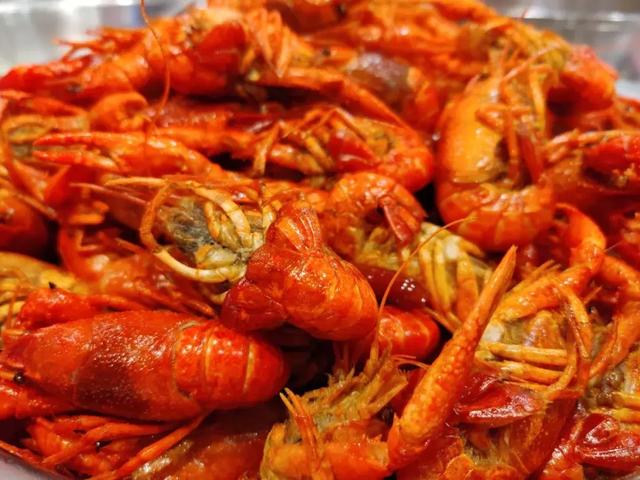 旗舰之上！OnePlus 7 Pro首发体验