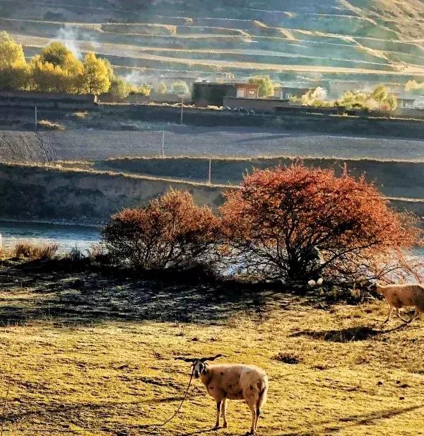 快来领奖，11月拍客大赛获奖名单公布