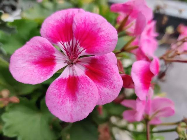 旗舰之上！OnePlus 7 Pro首发体验