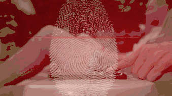 我用了三星Galaxy S10三天，爱上了！