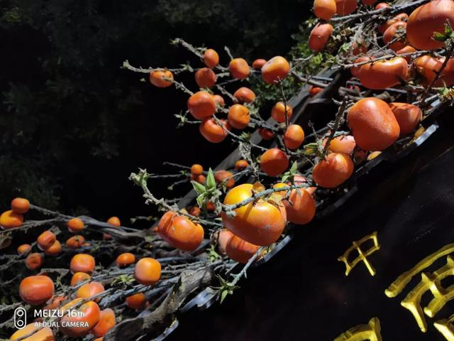 一组样张看16th到底是不是魅族史上拍照最好的手机