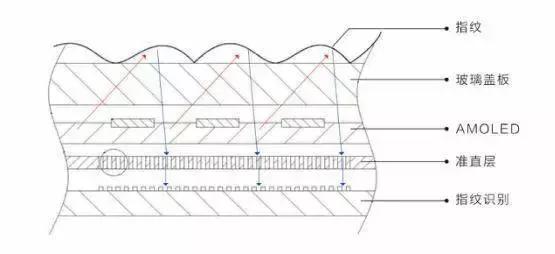 8个月迭代4次，vivo的屏幕指纹是如何做到媲美实体指纹的？