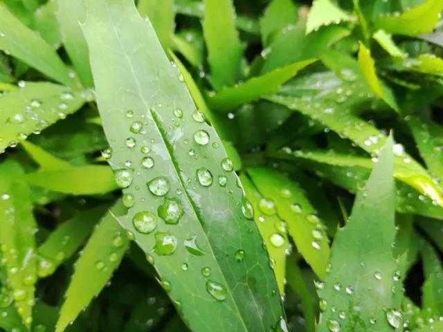 首发｜魅族Note8，千元机也可以是“水桶机”