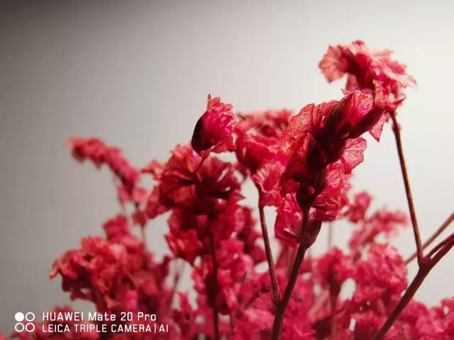 首发｜HUAWEI Mate 20系列：能打败华为的，或许只有它自己