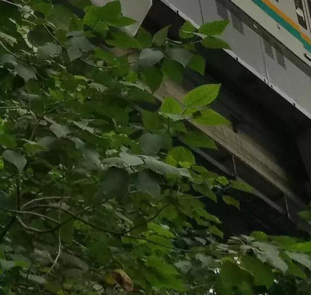 首发｜HUAWEI Mate 20系列：能打败华为的，或许只有它自己