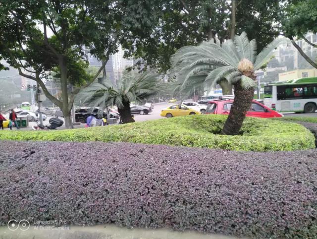 这是可以连续追剧10小时的大屏千元机！