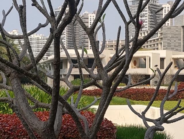 拥有4800万像素+超广角+超微距+超逆光的手机，拍照有多好玩？