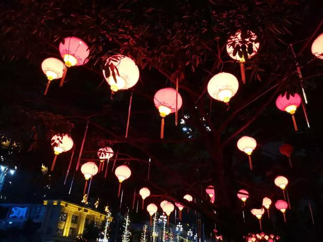 实测后，4800万像素的手机是噱头？