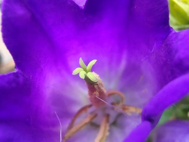 拥有4800万像素+超广角+超微距+超逆光的手机，拍照有多好玩？