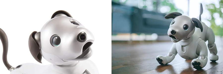 图片包含 室内, 桌子, 玩具, 熊<br><br>描述已自动生成