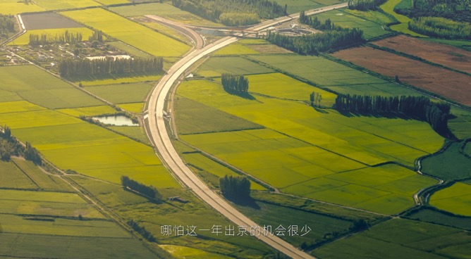 图片包含 草, 游戏机, 路, 轨道

描述已自动生成