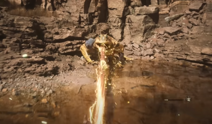 站在岩石上

描述已自动生成