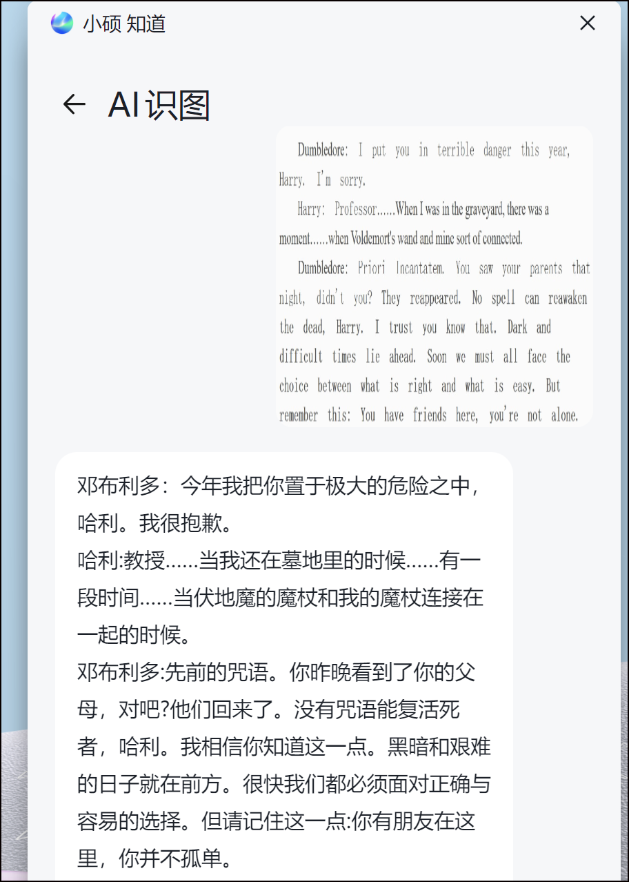 小硕知道AI识图-翻译文字