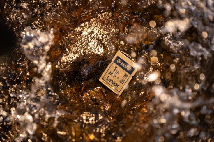 A:\设计部文件管理\01-Lexar产品\05-存储卡\SD影像卡\ARMOR GOLD\06-素材\创拍图\ARMOR GOLD SD\MGP_1057.jpg