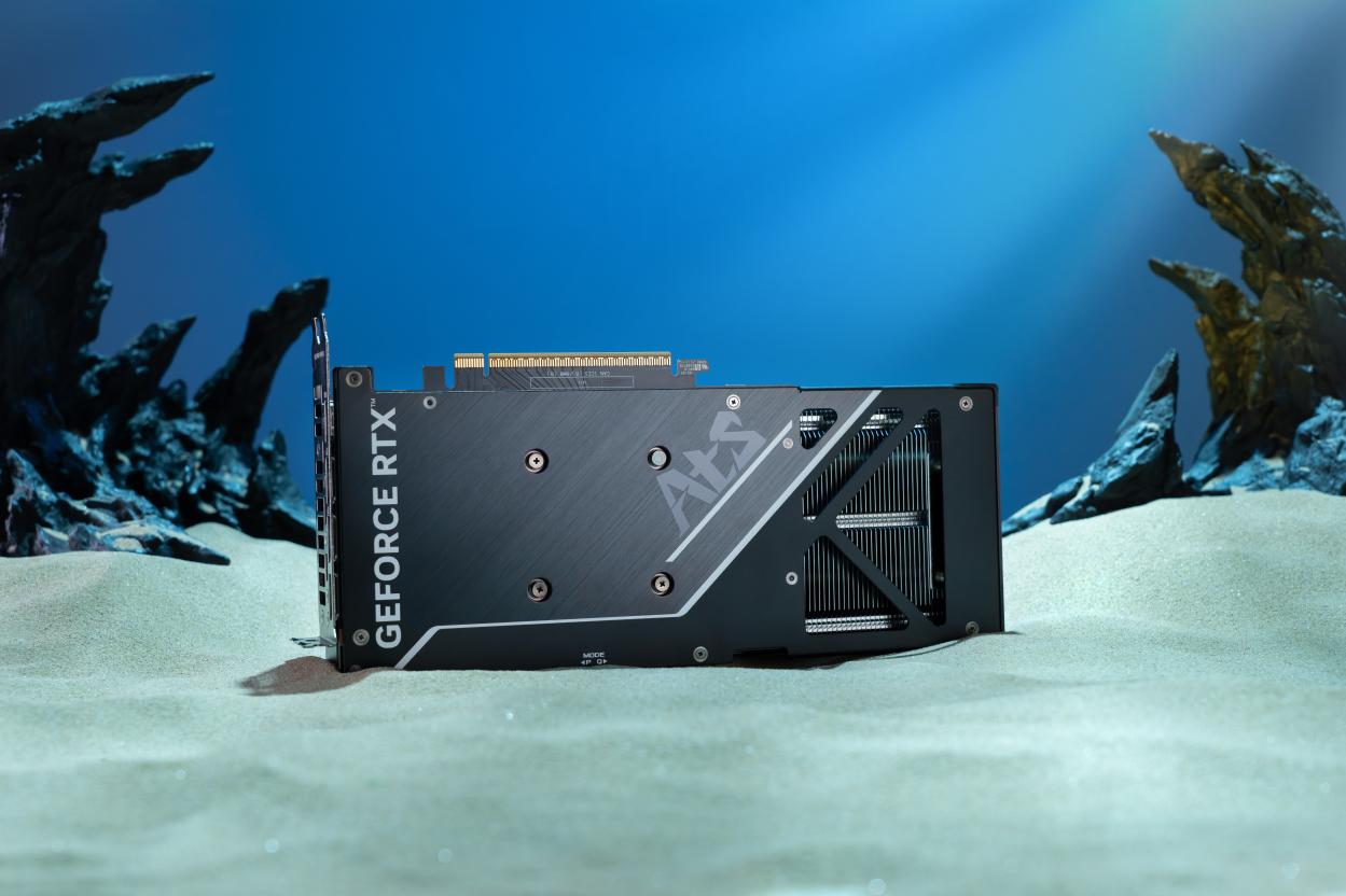 DSC01389-已增强-NR