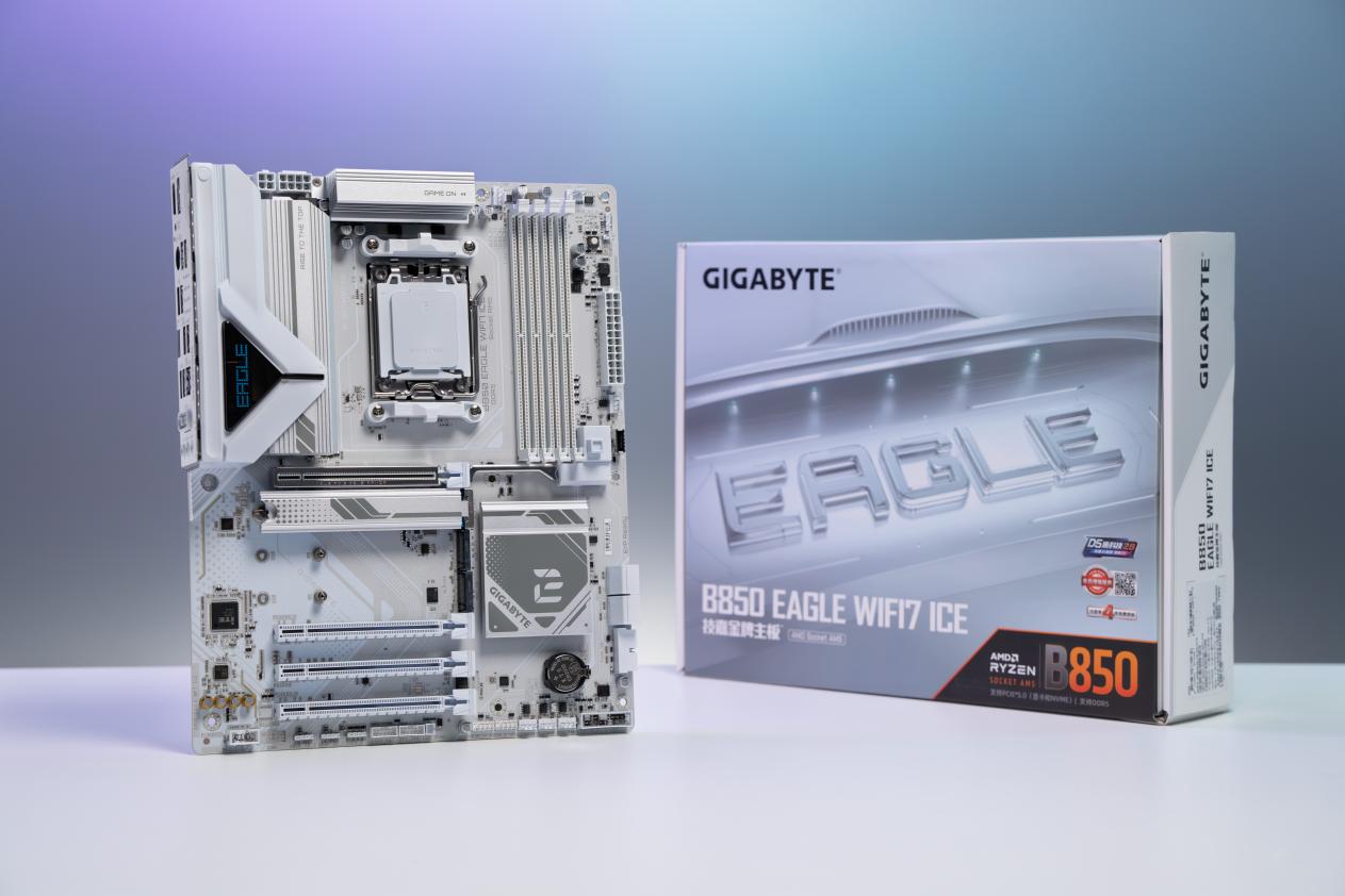 DSC00551-已增强-NR