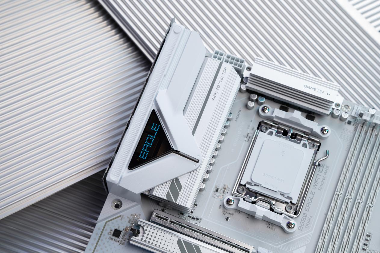 DSC00642-已增强-NR