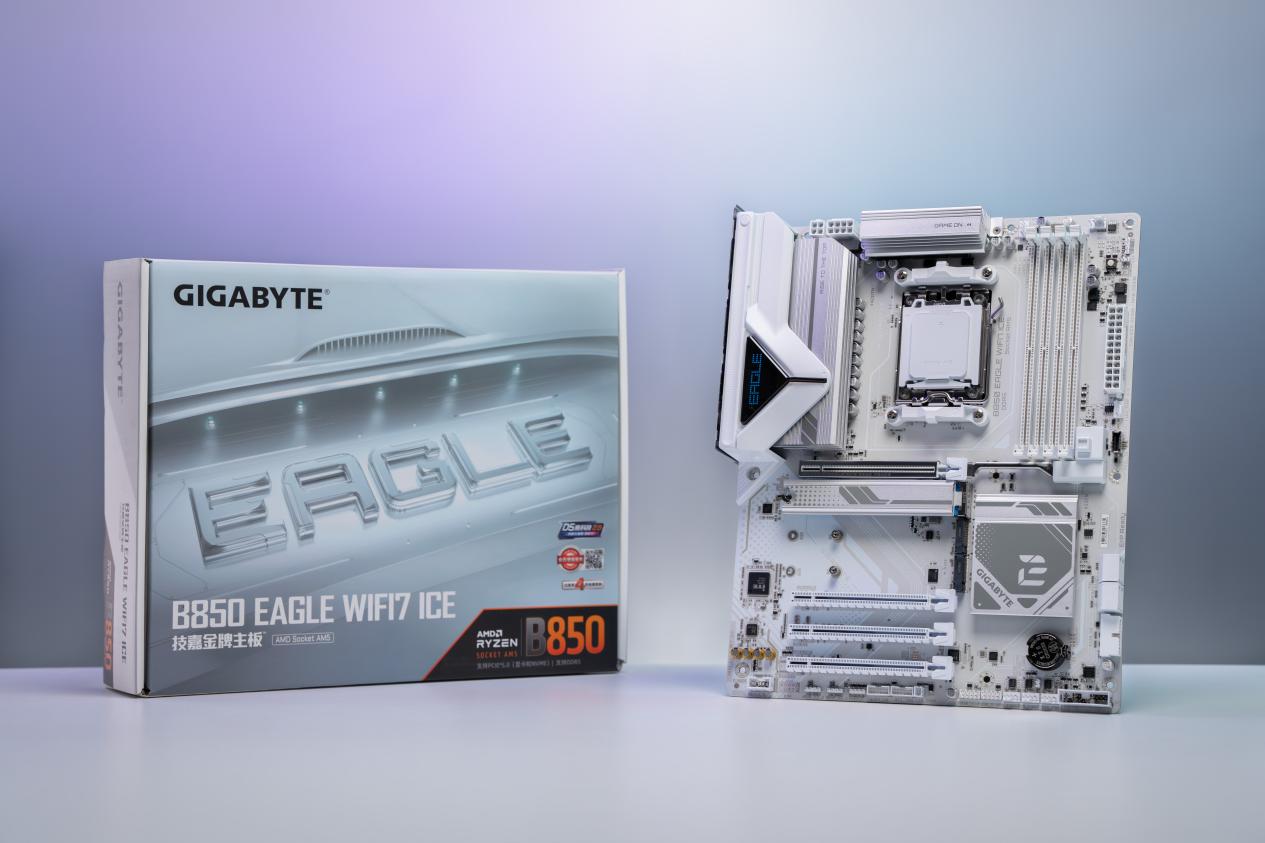 DSC00542-已增强-NR