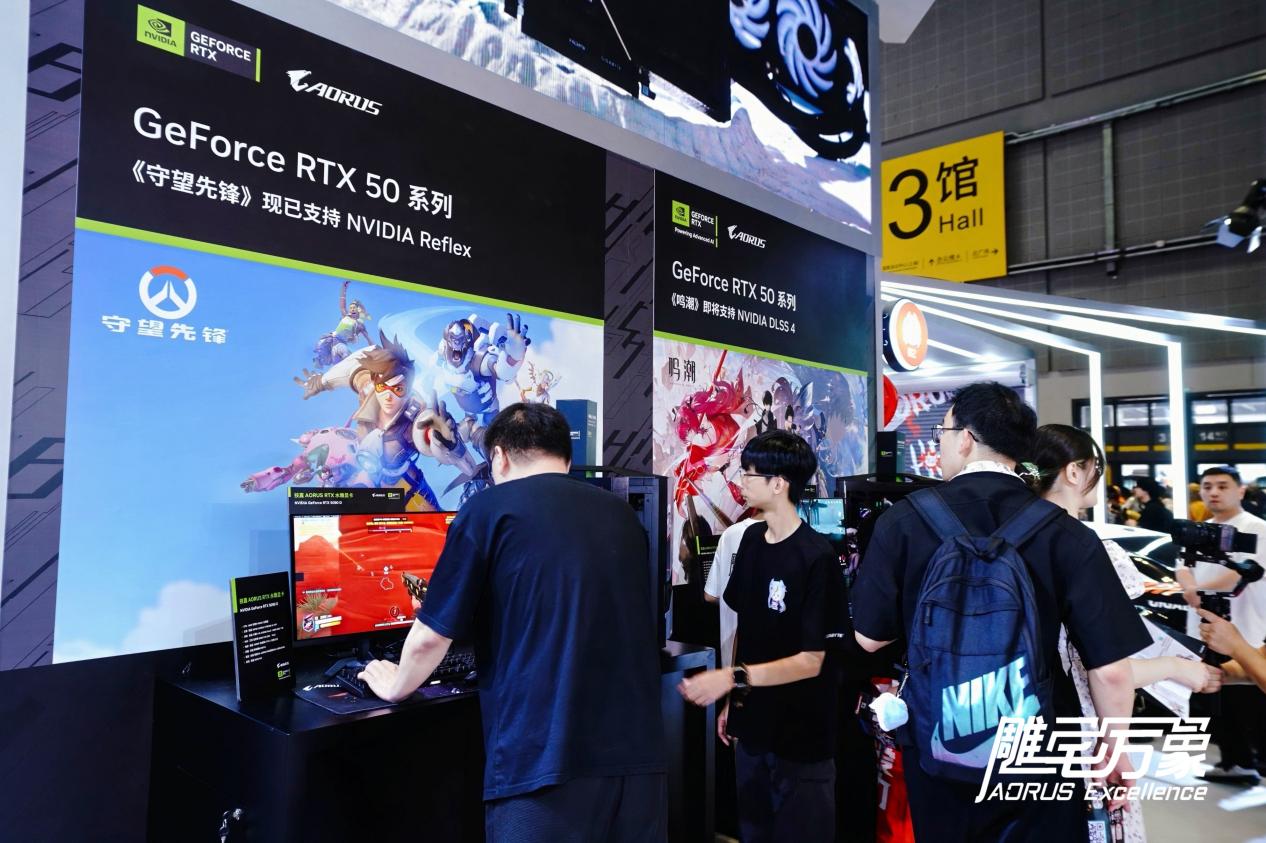 DSC09937-opq3809775341