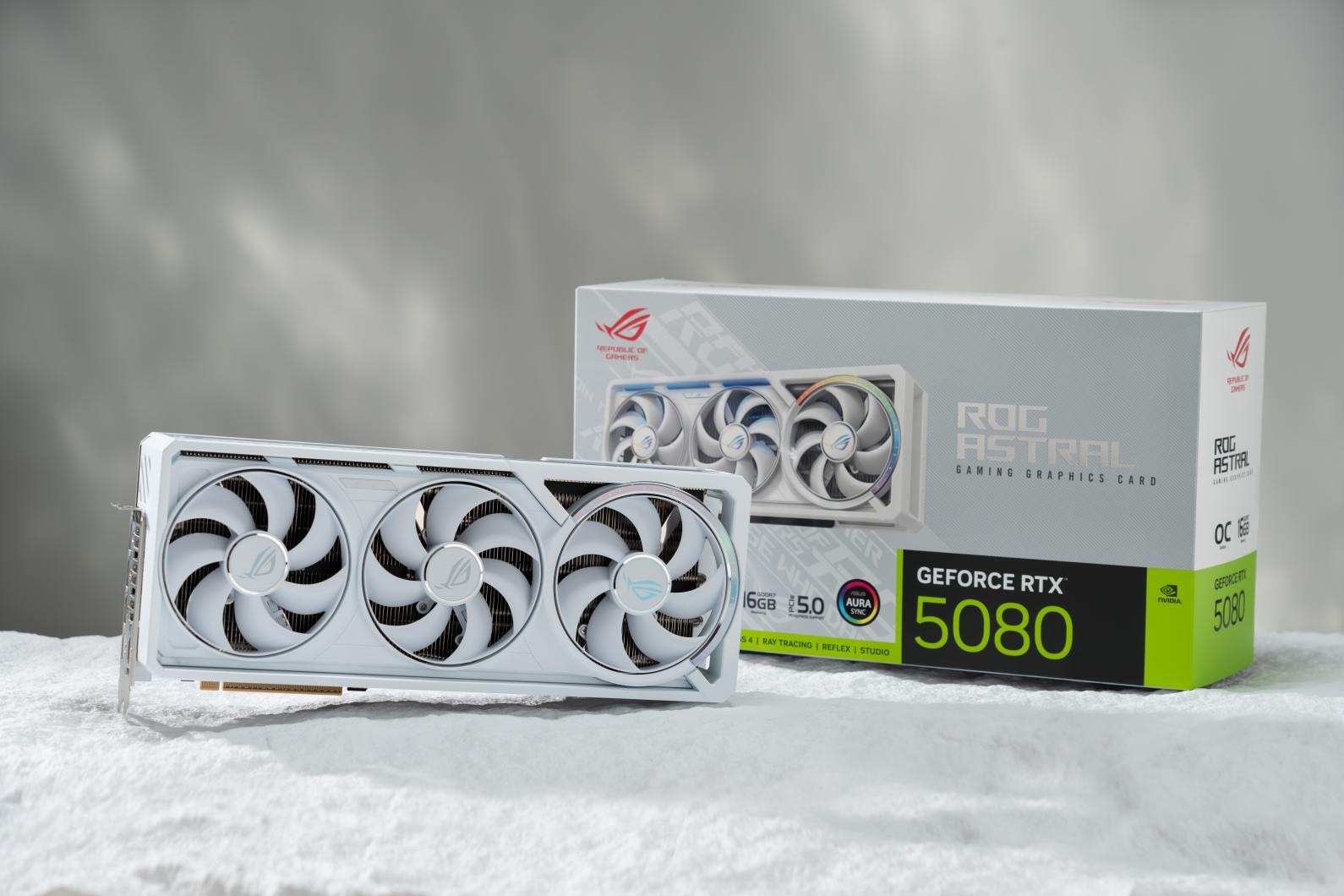 DSC02146-已增强-NR