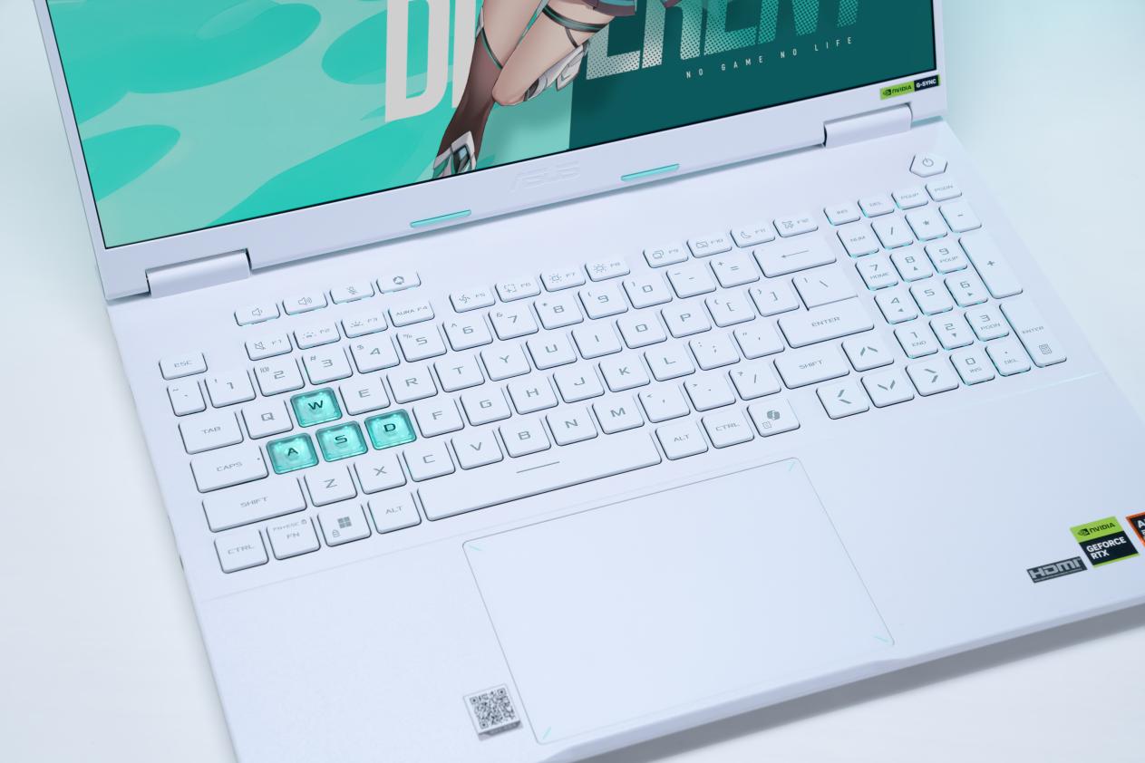 DSC09983-已增强-NR