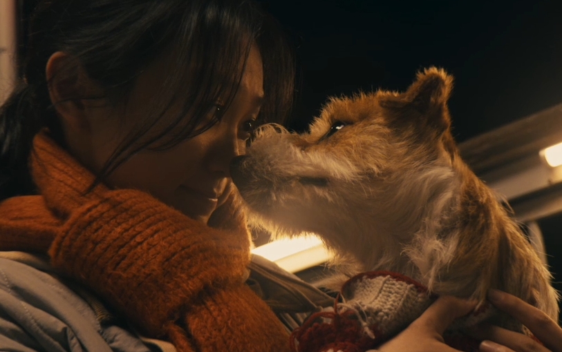 苹果今年的新春大片，太治愈了！